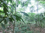 48724CIMG5061.JPG