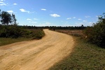 28468P1010479-1.JPG