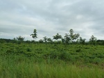 25844P1020263.JPG