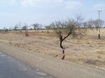 1768022042008(60).JPG