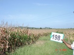 127170198b-irrigated-supplemental-major-groundwater-mixed-crop-maize-largearea-turmeric-doublecrop.gif