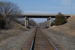 10133Field Survey 1 022.JPG