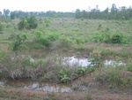 34570RIMG0036.JPG