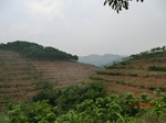 53662CIMG7036.JPG