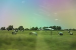 2024-06-17_22-14-39_4274669B-58A7-475F-AFEA-96E06B0ABA1D.jpeg