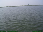 1300R0015099_tag.jpg