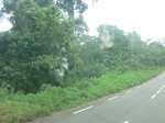 49413CIMG5750.JPG