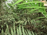 46362CIMG0651.JPG