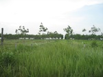 34395IMG_5311.JPG
