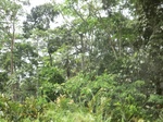 49569CIMG5906.JPG