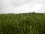 54410DSCN1690.JPG