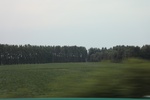 2024-08-05_16-08-56_96ACA132-2B73-4EEB-A458-1CF8CE020598.jpeg