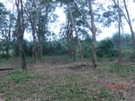 52890CIMG4980_调整大小.JPG