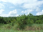 20343P1020200.JPG