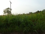 19879P1010729.JPG