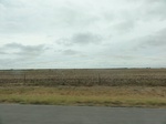 35973DSC02744.JPG