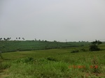 33020CIMG2181.JPG