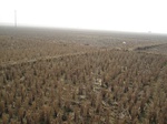 8421IMG_0246.JPG