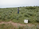 12104GT105_rangeland.JPG