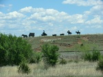 29005CIMG0704.JPG
