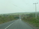 51561P1000733.JPG