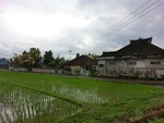 30893CIMG0747.JPG