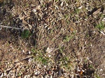 10076DSC02802.JPG