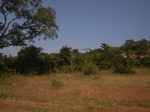 9000RIMG0076.JPG