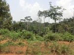 48985CIMG5322.JPG
