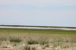 38824Canon Aug 1 100.jpg