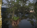 15052IMG_3865.JPG