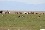 26817IMG_3197.JPG