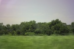 2024-06-17_22-14-34_FFBF6133-C6BD-478E-A4EB-19004B51D8B9.jpeg