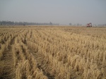 8432IMG_0257.JPG