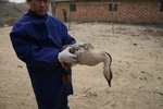 4734IMG_8652.JPG