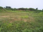 836R0015383_small.jpg