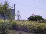 3543 111.jpg