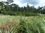 20164P1020016.JPG