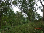 53312CIMG6590.JPG