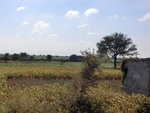 56198CIMG6915.JPG