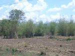 18131CentralThailand-1 (14).JPG