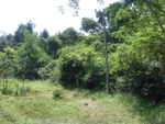 33442RIMG0182.JPG