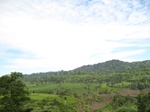 15097IMG_3917.JPG
