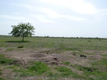 19267P1010113.JPG