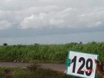124760129c-irrigated-supplemental-river-water-sugarcane.gif