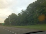 57785IMG_1072.JPG