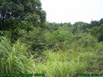 876R0015396_tag.jpg