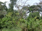 49707CIMG6044.JPG