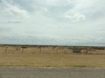 36080DSC02800.JPG
