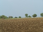 1684202052008(103).JPG